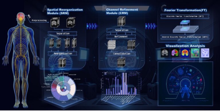 JBHI June Highlights - Medical Image Registration via Fourier Transform with Spatial Reorganization and Channel Refinement Network