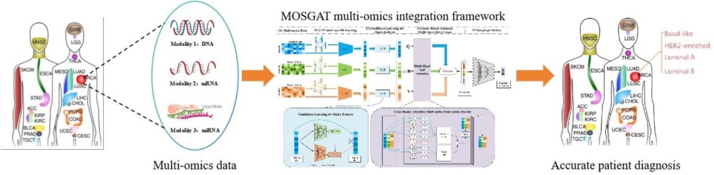 MOSGAT: Uniting Specificity-Aware GATs and Cross Modal-Attention to Integrate Multi-Omics Data for Disease Diagnosis imagery