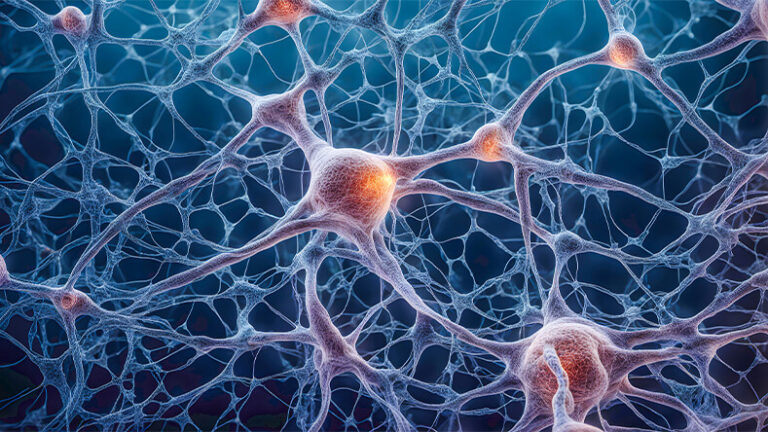 Neuroengineering—Engineering the Nervous System