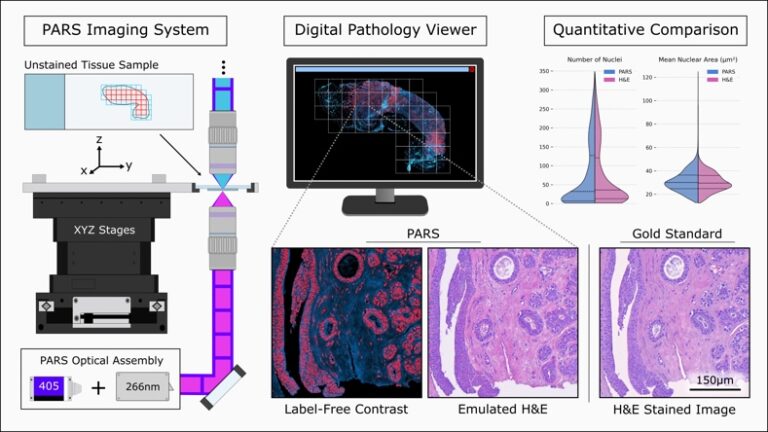 Automated Whole Slide Imaging for Label-Free Histology Using Photon Absorption Remote Sensing Microscopy