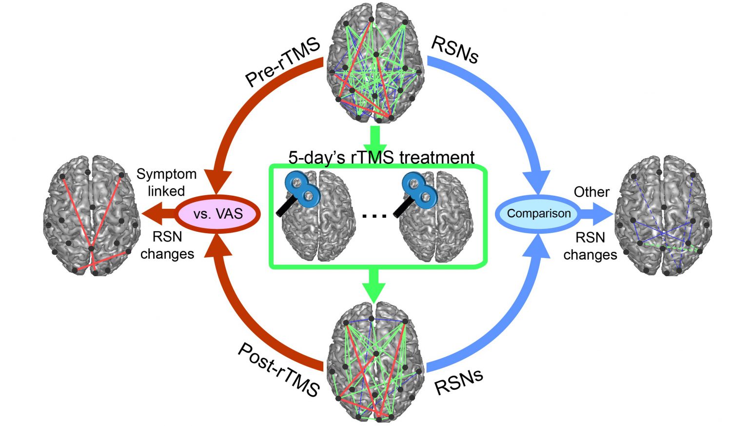 Lasting Modulation Effects Of RTMS On Neural Activity And Connectivity ...