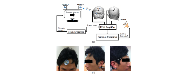 af hebben Fantasierijk Inwoner Evaluate the feasibility of using frontal SSVEP to implement an SSVEP -  based BCI in Young, Elderly and ALS groups - Transactions on Neural Systems  and Rehabilitation Engineering (TNSRE)