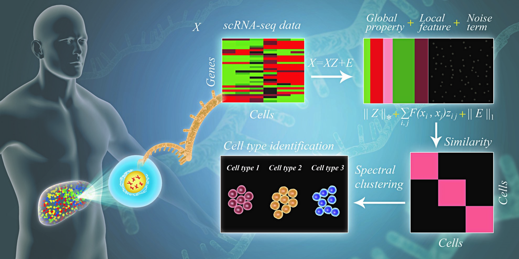 Bioinformatics – EMBS